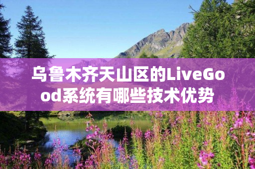 乌鲁木齐天山区的LiveGood系统有哪些技术优势