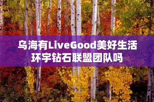 乌海有LiveGood美好生活环宇钻石联盟团队吗