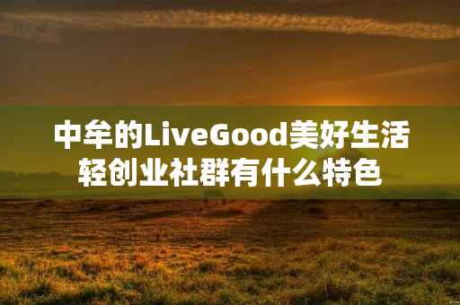 中牟的LiveGood美好生活轻创业社群有什么特色