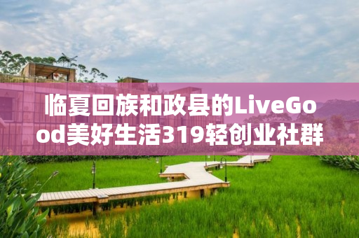 临夏回族和政县的LiveGood美好生活319轻创业社群是什么