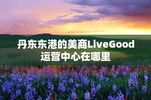 丹东东港的美商LiveGood运营中心在哪里