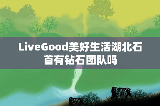 LiveGood美好生活湖北石首有钻石团队吗