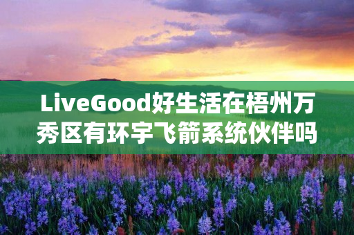 LiveGood好生活在梧州万秀区有环宇飞箭系统伙伴吗