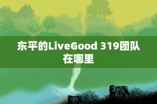 东平的LiveGood 319团队在哪里