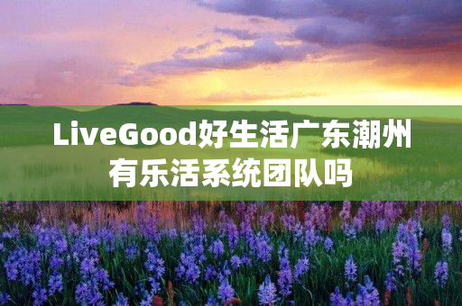 LiveGood好生活广东潮州有乐活系统团队吗