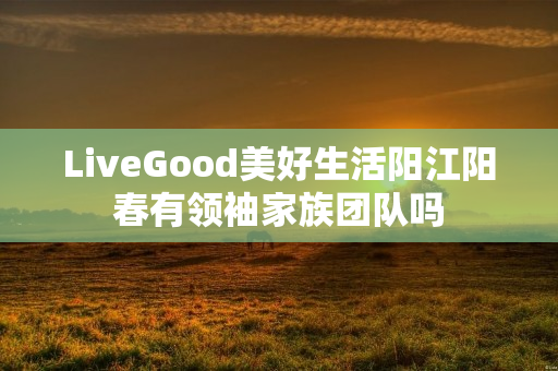 LiveGood美好生活阳江阳春有领袖家族团队吗