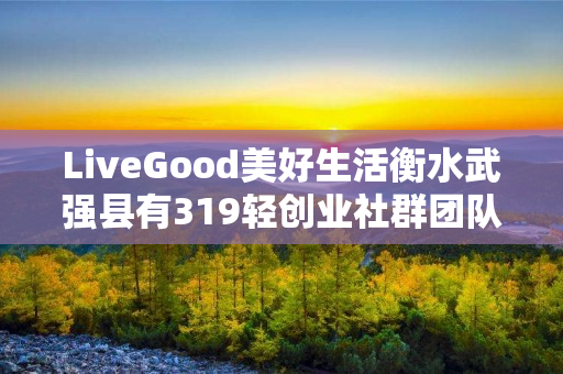 LiveGood美好生活衡水武强县有319轻创业社群团队吗