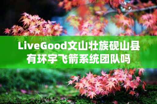 LiveGood文山壮族砚山县有环宇飞箭系统团队吗