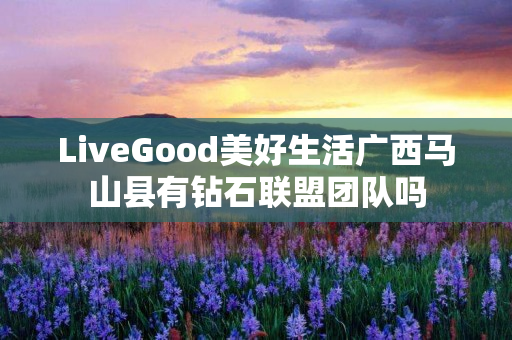 LiveGood美好生活广西马山县有钻石联盟团队吗