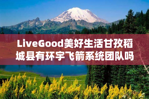 LiveGood美好生活甘孜稻城县有环宇飞箭系统团队吗