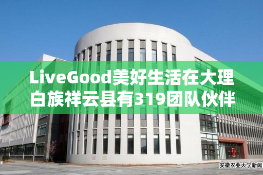 LiveGood美好生活在大理白族祥云县有319团队伙伴吗