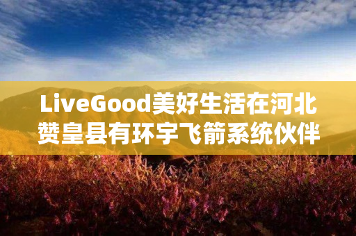 LiveGood美好生活在河北赞皇县有环宇飞箭系统伙伴吗