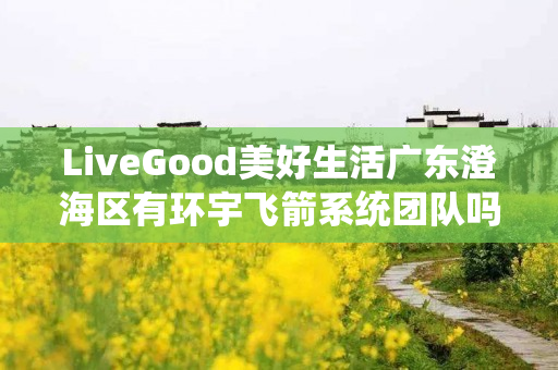 LiveGood美好生活广东澄海区有环宇飞箭系统团队吗