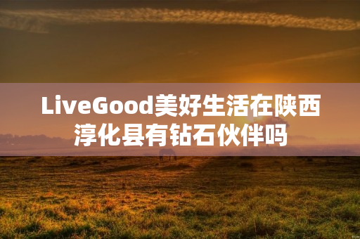 LiveGood美好生活在陕西淳化县有钻石伙伴吗