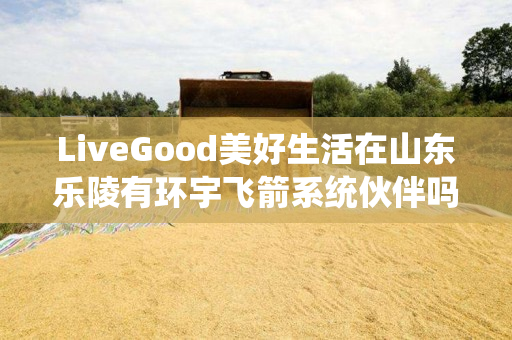 LiveGood美好生活在山东乐陵有环宇飞箭系统伙伴吗