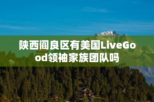 陕西阎良区有美国LiveGood领袖家族团队吗