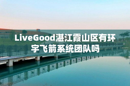 LiveGood湛江霞山区有环宇飞箭系统团队吗