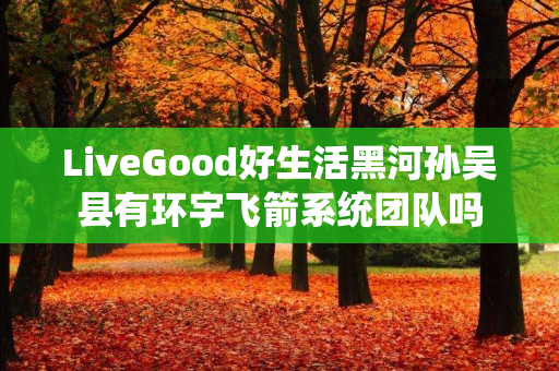 LiveGood好生活黑河孙吴县有环宇飞箭系统团队吗