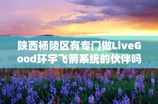 陕西杨陵区有专门做LiveGood环宇飞箭系统的伙伴吗