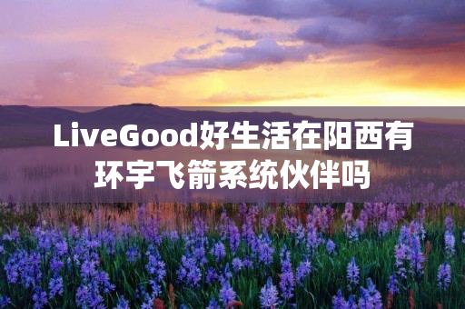 LiveGood好生活在阳西有环宇飞箭系统伙伴吗