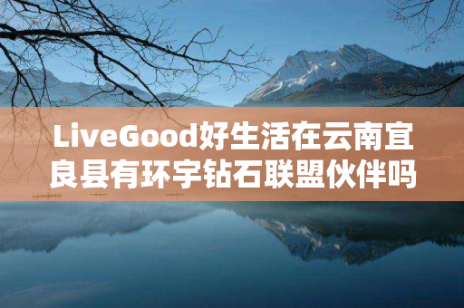 LiveGood好生活在云南宜良县有环宇钻石联盟伙伴吗