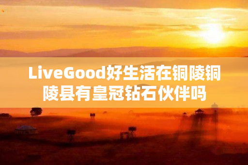 LiveGood好生活在铜陵铜陵县有皇冠钻石伙伴吗