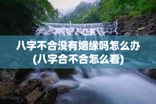 八字不合没有姻缘吗怎么办(八字合不合怎么看)