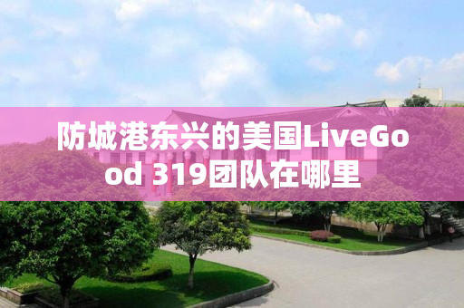 防城港东兴的美国LiveGood 319团队在哪里