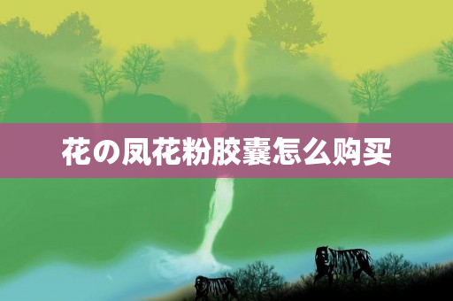 花の凤花粉胶囊怎么购买