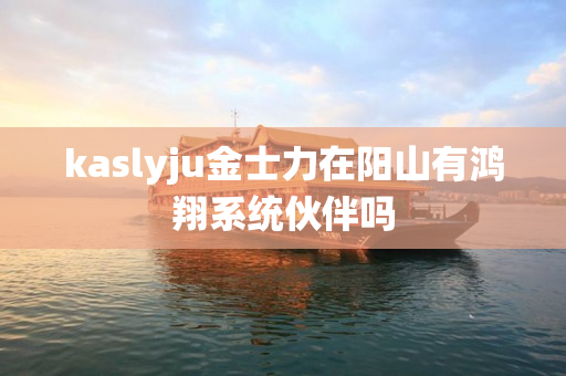 kaslyju金士力在阳山有鸿翔系统伙伴吗