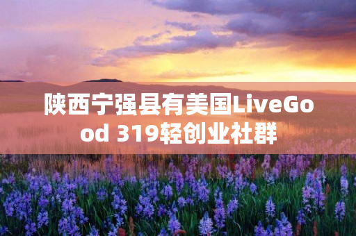 陕西宁强县有美国LiveGood 319轻创业社群