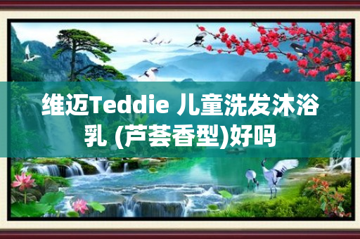 维迈Teddie 儿童洗发沐浴乳 (芦荟香型)好吗