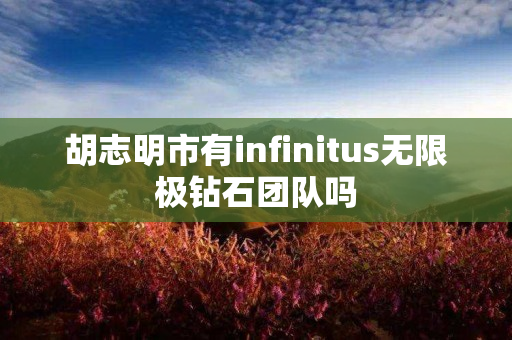 胡志明市有infinitus无限极钻石团队吗