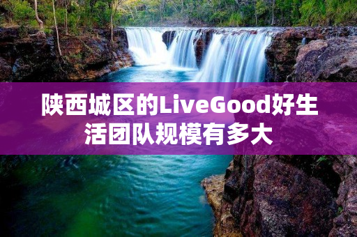 陕西城区的LiveGood好生活团队规模有多大