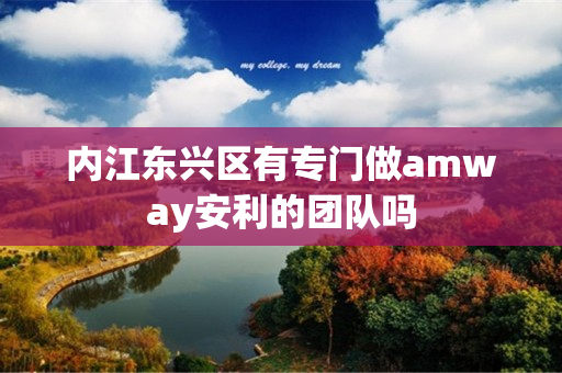 内江东兴区有专门做amway安利的团队吗