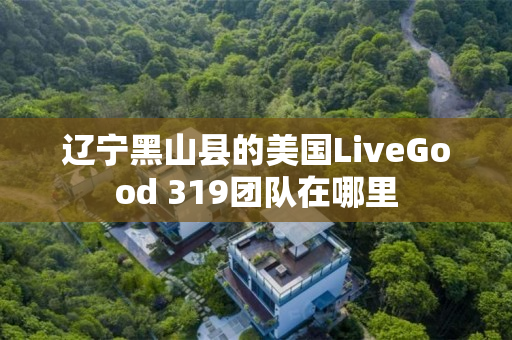 辽宁黑山县的美国LiveGood 319团队在哪里