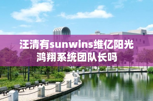 汪清有sunwins维亿阳光鸿翔系统团队长吗