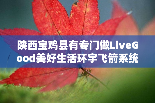 陕西宝鸡县有专门做LiveGood美好生活环宇飞箭系统的伙伴吗