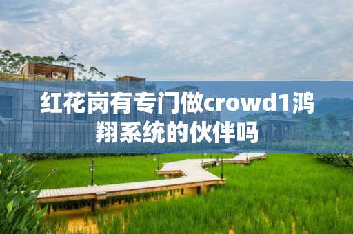 红花岗有专门做crowd1鸿翔系统的伙伴吗