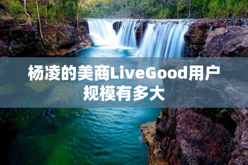 杨凌的美商LiveGood用户规模有多大