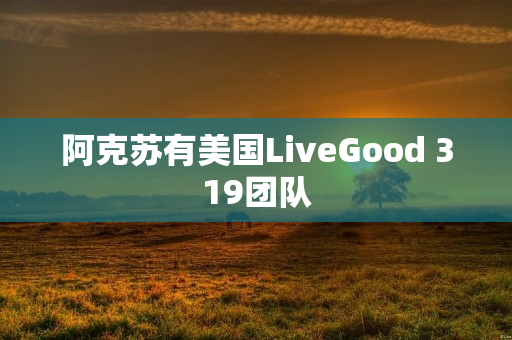 阿克苏有美国LiveGood 319团队