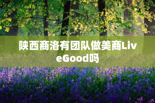 陕西商洛有团队做美商LiveGood吗