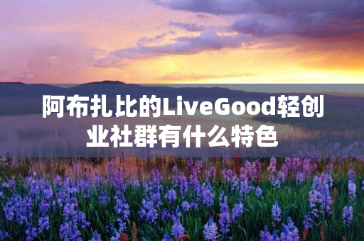 阿布扎比的LiveGood轻创业社群有什么特色