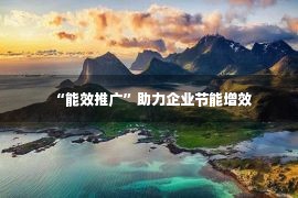 “能效推广”助力企业节能增效