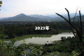 2023年