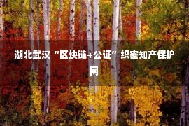 湖北武汉“区块链+公证”织密知产保护网