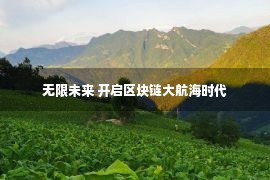 无限未来 开启区块链大航海时代