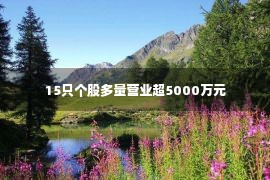 15只个股多量营业超5000万元