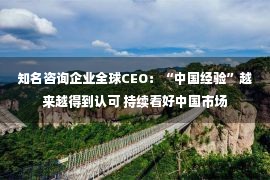 知名咨询企业全球CEO：“中国经验”越来越得到认可 持续看好中国市场