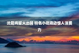 沈阳鸡架火出圈 特色小吃撬动惊人消费力